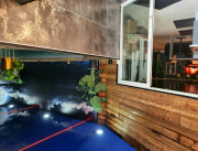 Royal room avec piscine interieur chauffée et spa privatif, Isère - 19