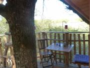 Cabane dans les arbres, vue panoramique, Chalais - 2