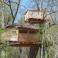 Cabane dans les arbres, vue panoramique, Chalais