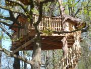 Cabane perchée dans trois chênes, Chalais - 2