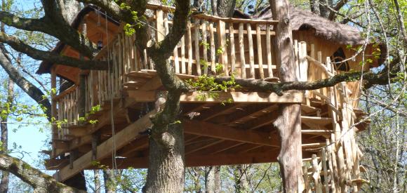 Cabane perchée dans trois chênes, Chalais