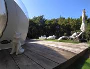 Nuit insolite à la belle étoile dans une bulle, avec spa privé, à 20 minutes de Porto-Vecchio - 5