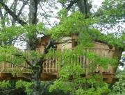 Cabane dans un arbre au dessus d'un lac, Chalais - 2