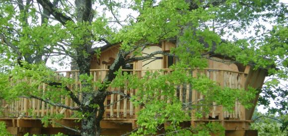Cabane dans un arbre au dessus d'un lac, Chalais