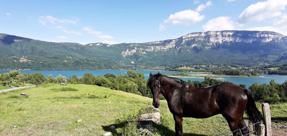 Lodge luxe et spa avec  sur le Lac Aiguebelette, Savoie