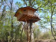 Cabane perchée à 7,5m de hauteur, Chalais - 1