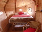 Cabane dans un arbre bicentenaire, Chalais - 3