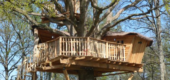 Cabane dans un arbre bicentenaire, Chalais