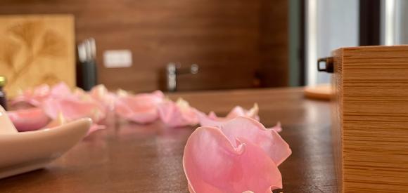Love house avec spa, sauna et Hammam, Cantal