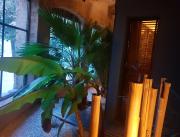 Suite Patio ambiance Balinais, avec spa privatif, Drome - 5