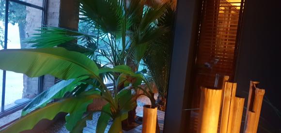 Suite Patio ambiance Balinais, avec spa privatif, Drome