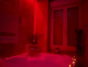 Appartement "prestige" spa et sauna privatif , Dijon - 2