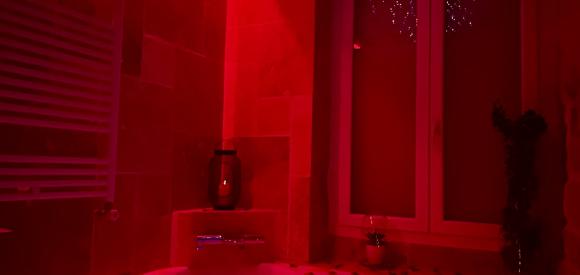Appartement "prestige" spa et sauna privatif , Dijon
