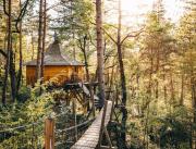 Cabanes dans les arbres avec jacuzzi privatif - 2