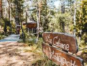 Cabanes dans les arbres avec jacuzzi privatif - 5
