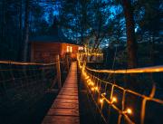 Cabanes dans les arbres avec jacuzzi privatif - 6
