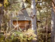 Cabanes dans les arbres avec jacuzzi privatif - 10