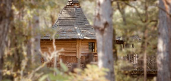 Cabanes dans les arbres avec jacuzzi privatif