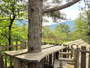 Cabane dans les arbres avec jacuzzi privatif - 5