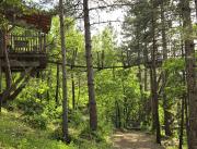 Cabane dans les arbres avec jacuzzi privatif - 6
