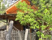 Cabane dans les arbres avec jacuzzi privatif - 7