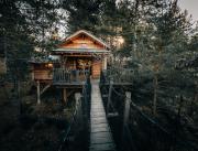 Cabane dans les arbres avec jacuzzi privatif - 2