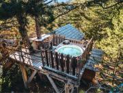 Cabane dans les arbres avec jacuzzi privatif - 1