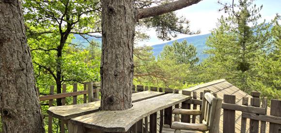 Cabane dans les arbres avec jacuzzi privatif