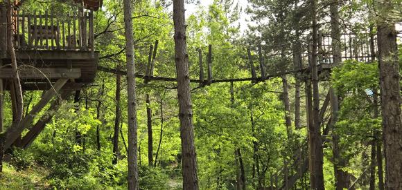Cabane dans les arbres avec jacuzzi privatif