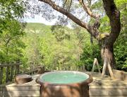 Cabanes dans les arbres avec jacuzzi privatif - 4