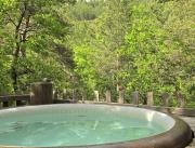 Cabanes dans les arbres avec jacuzzi privatif - 5