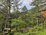 Cabanes dans les arbres avec jacuzzi privatif - 9
