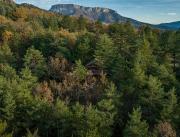 Cabanes dans les arbres avec jacuzzi privatif - 16