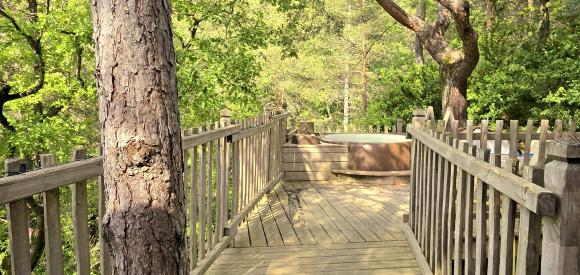 Cabanes dans les arbres avec jacuzzi privatif