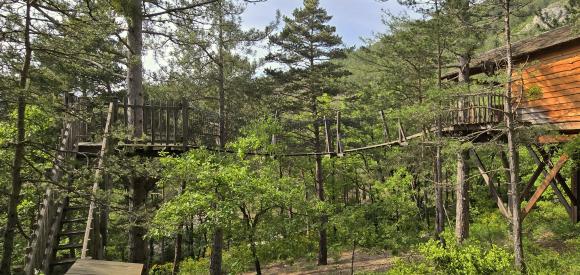 Cabanes dans les arbres avec jacuzzi privatif