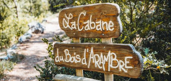 Cabanes dans les arbres avec jacuzzi privatif