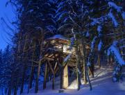 Cabane Mont-Blanc, Cabane de luxe avec jacuzzi et sauna privés - 8