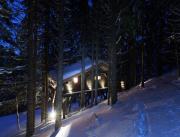 Cabane Mont-Blanc, Cabane de luxe avec jacuzzi et sauna privés - 12