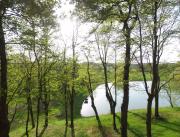 Cabane avec SPA privatif à 30 km de Pau - 6