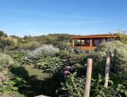 Cabane sur pilotis avec spa privatif, proche Carcassonne - 16