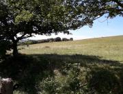 Cabane sur pilotis avec spa privatif, proche Carcassonne - 12