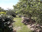 Cabane sur pilotis avec spa privatif, proche Carcassonne - 19