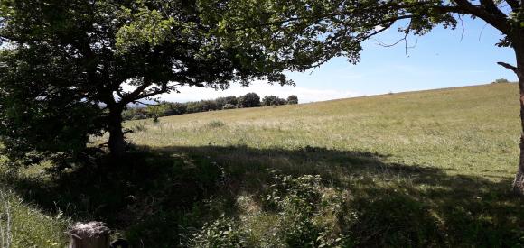 Cabane sur pilotis avec spa privatif, proche Carcassonne