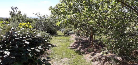 Cabane sur pilotis avec spa privatif, proche Carcassonne