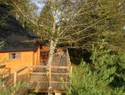 Cabane de Charme avec Bain nordique, proche Sarlat - 5