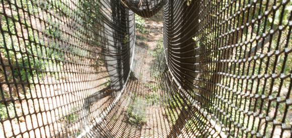 Cabane perchée spa privatif dans la nature, Var