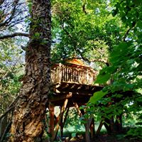 Cabane Dans Les Arbres Avec Jacuzzi Vosges