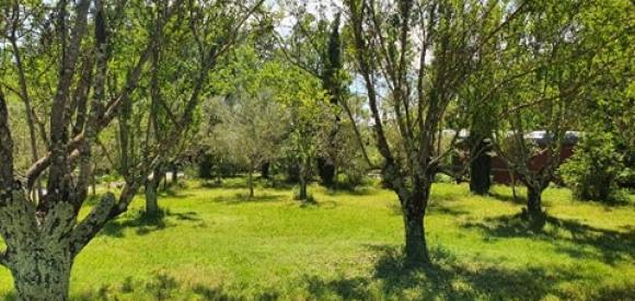 Cabane au milieu de la nature avec spa privatif, Ardèche