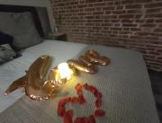 LOVE ROOM, SPA privé en terrasse couverte VUE prairie, luminothérapie, hammam Baie de Somme - 12