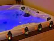 Loveroom avec jacuzzi privé - Marais Poitevin, proche Niort et La Rochelle - 16